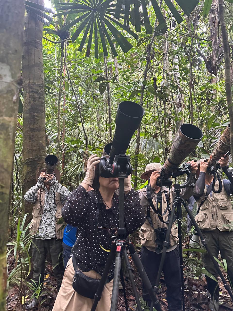 Bird Watching Klabili